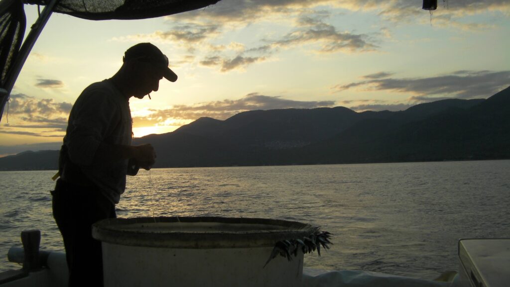 holidays on villa relax thassos