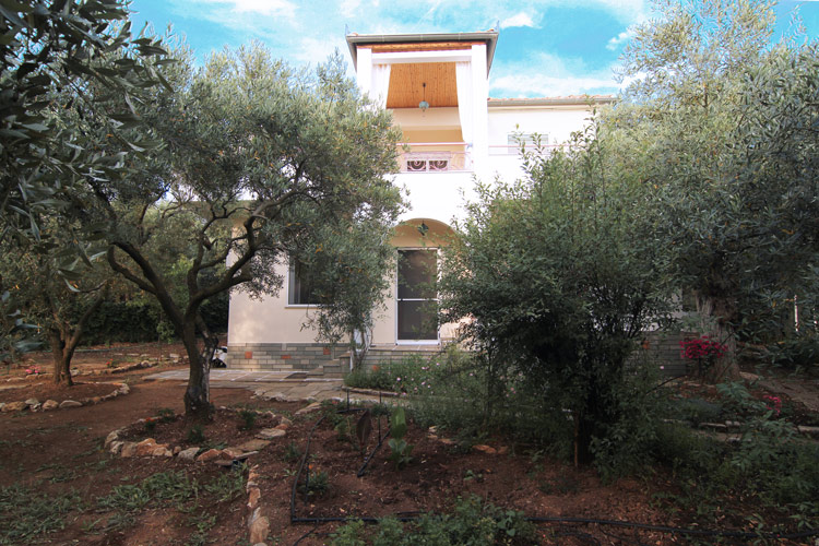 Κήπος με ελαιόδεντρα γύρω από την Βίλα Ριλάξ
