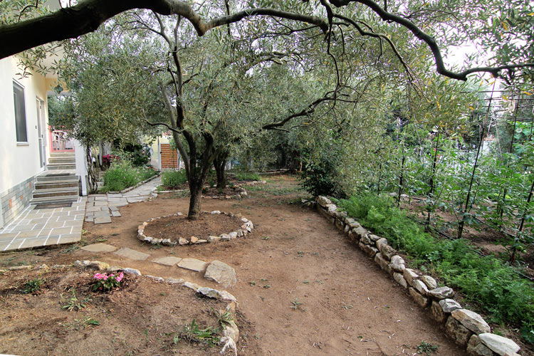 Olive trees garden around Villa Relax