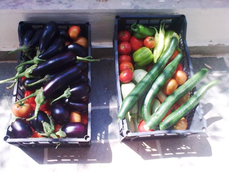 Organic vegetables